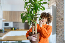 Smiling Woman With Potted Plant At Home