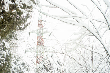 Wall Mural - High voltage power line pole between snow covered trees in winter.Background on the theme of energy and transmission of electricity over long distances in difficult conditions,in a cold,snowy climate