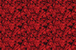 Abstract tileable backdrop of black neurons into red blood. Overhead shot.
