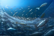 Thousands Fishes In Fishing Nets On Deep Blue Sea, Generative AI