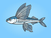 Flying Fish Animal Pop Art Retro Raster Illustration. Comic Book Style Imitation.