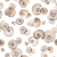 Spiral Watercolor Sea Shell Marine Illustration Seamless Pattern, Sea , Shell, Stars, Marine Marble, Vertical And Horizontal Pattern Suitable For Printing On Surface Designed For Fashion Plaid