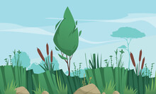 Wetland Ecosystem Cartoon