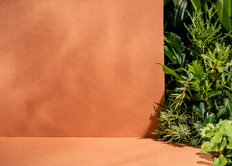 Minimal tropical podium with orange beige background and  green garden exposition. An empty summer background for product display. A scene for presentation of products as cosmetics or accessories.