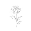 Vector isolated one single rose flower on a stem with leaves colorless black and white contour line easy drawing