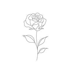 Wall Mural - vector isolated one single rose flower on a stem with leaves colorless black and white contour line 