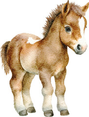 Aufkleber - Cute little pony illustration created with Generative AI technology