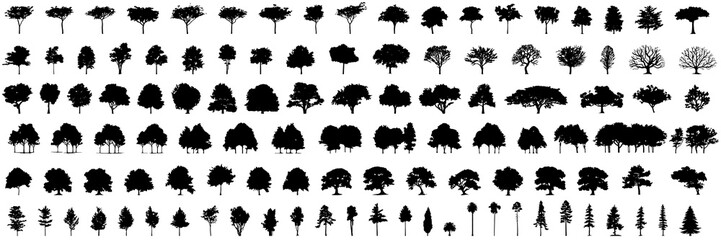 Canvas Print - silhouette tree line drawing set, Side view, set of graphics trees elements outline symbol for architecture and landscape design drawing. Vector illustration in stroke fill in white. Tropical