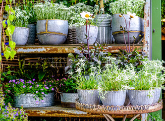 Wall Mural - flowers at a floristry - austria