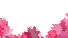 Pink Flower Background