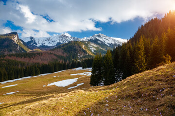 Photo Sur Toile - Splendid spring scene with snow-capped peaks. Zakopane, High Tatras, Poland.