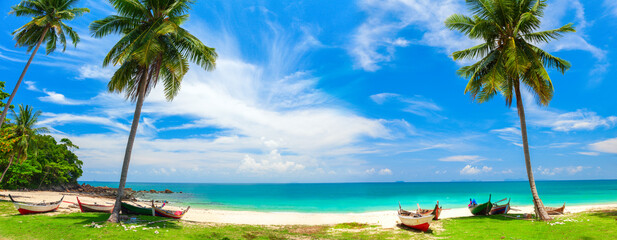 Wall Mural - panorama of tropical beach with coconut palm trees