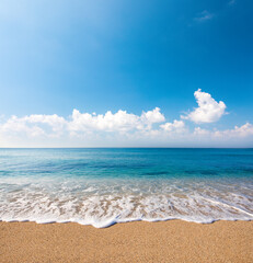 Wall Mural - sandy beach and tropical sea