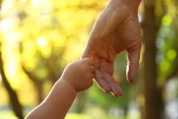 Wall Mural - Daughter holding father's hand outdoors, closeup. Happy family