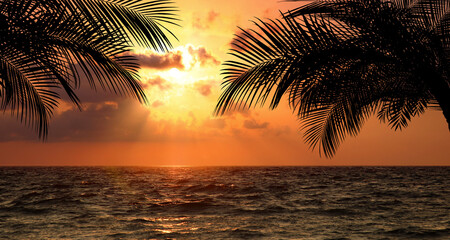 Wall Mural - Picturesque view of sea and palm trees at sunset