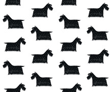 Vector Seamless Pattern Of Hand Drawn Doodle Sketch Colored Scottish Terrier Dog Isolated On White Background