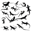 lizard silhouette vector set illustration