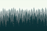 Fototapeta Las - winter forest background. Pine forest landscape. Forest pine park. Fog and haze forest landscape.