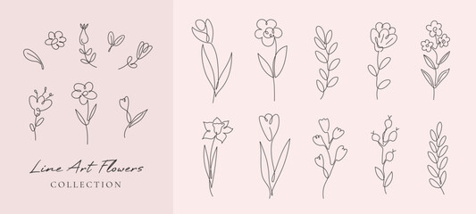 Wall Mural - Vector set flowers and branches in simple minimalist continuous outline line style for logo, wedding design, tattoo. Hand drawn line herb, elegant wildflowers. 
