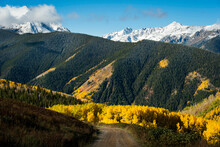 Fall Colors In Aspen Colorado With A Fresh Dusting Of Snow