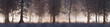 © RocknRoller Studios - Snow covered Trees create Atmospheric Winter Woodland Banner. Seasonal Concept.