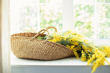 Bouquet Mimosa Flowers In Wicker Basket Near Window. Flowers Mimosa In Basket On Windowsill. Beautiful Yellow Spring Flowers. 8 March , Easter, Mother's Day. Branches Yellow Mimosa In A Bouquet.	