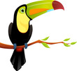 illustration of a cute colorful keel billed toucan sitting on a tree branch. Isolated on white.
