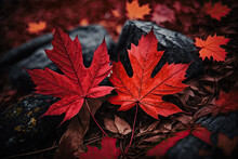Red Autumn Maple Leaves Laying On The Forest Ground