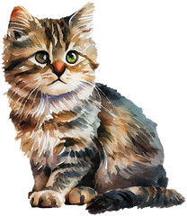 cute cat transparent background - Generative AI