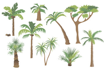Leinwandbilder - Palm trees set graphic elements in flat design. Bundle of different types of palm trees with coconuts and bushes with green crown of leaves, trunks and branches. Vector illustration isolated objects