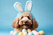 Cute dog in front of easter eggs and flowers.