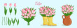 Spring bouquets with tulips and elements. Floral plants with bright flowers. Botanical vector illustration on isolated background for women's day, mother's day, easter and other holidays.