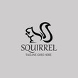 Squirrel logo design template. Vector illustration