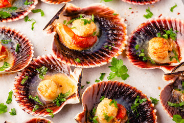 Wall Mural - Cooked scallops with parsley