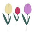 Tulips from regular geometric shapes. Vector spring flowers.