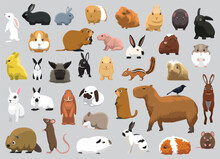 Animal Rodent Capybara Rabbit Hamster Guinea Pig Rat Characters Cartoon Vector