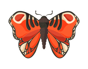 Sticker - butterfly flat style