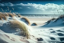 The Baltic Sea Beach. Winter Beach Scene With Sand, Dunes, And Marram Grass. Generative AI