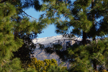 Wall Mural - Rare snow on the Santa Ynez Mountains seen from Santa Barbara in Southern California on February 26, 2023