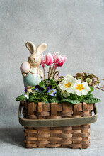 Floral Spring Basket With Cyclamen And Primrose Flowers, Ivy And Easter Egg Ornaments