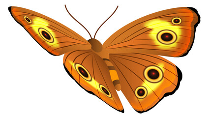 Sticker - Flying moth. Colorful butterfly. Beautiful winged insect