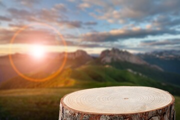 Sticker - Tree trunk on beautiful nature background