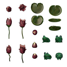 Set For A Pond - Flowers And A Frog - 3d Render Illustration