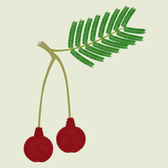 Wall Mural - Branch with fruits parkia biglobosa mimosaceae on green a background.