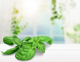 Poster - Ripe fresh green basil leaves at kitchen