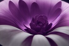 A Large Flower With A Purple Center On A Black Background With A White Center On The Center Of The Flower And A White Center On The Center Of The Flower Is A Purple Center Of The. Generative AI