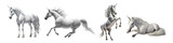 Isolated set of white horse unicorn - Generative AI