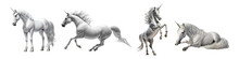 Isolated Set Of White Horse Unicorn - Generative AI