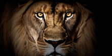 Close Up Macro Shot Of Lion Eyes. Generative Ai
