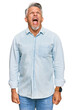 © Krakenimages.com - Middle age grey-haired man wearing casual clothes angry and mad screaming frustrated and furious, shouting with anger. rage and aggressive concept.